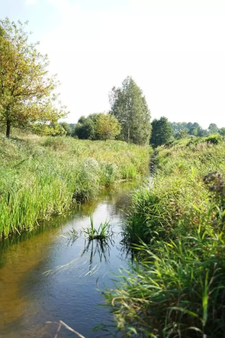 Ewelina Wolniewicz - 2