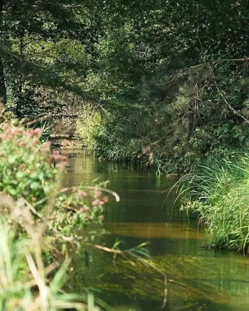 Ewelina Wolniewicz - 4